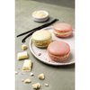 Silpat Toile macarons AES585385-65